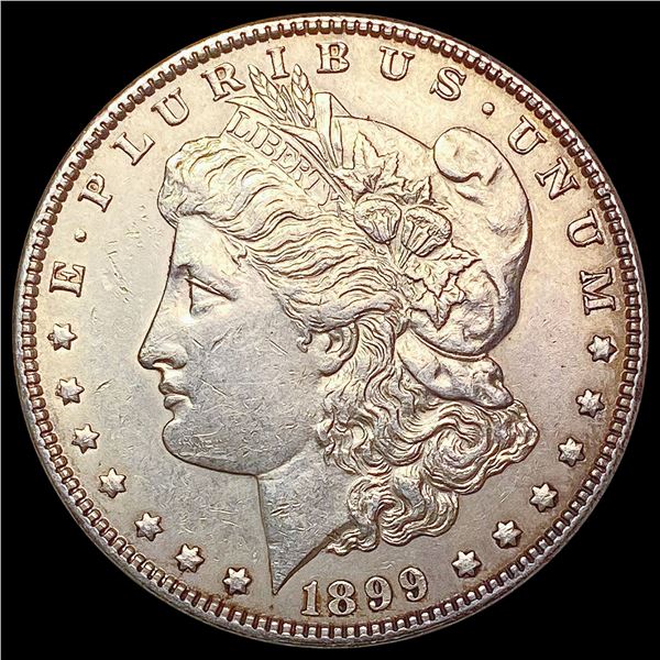 1899 Morgan Silver Dollar UNCIRCULATED