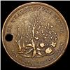 Image 2 : 1860 Wealth of the South Token HIGH GRADE