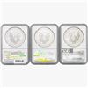 Image 2 : [3] 2012 Silver Eagle NGC MS69 FR