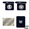 Image 1 : 2006-W Proof Silver Eagle