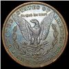 Image 2 : 1884-S Morgan Silver Dollar CLOSELY UNCIRCULATED