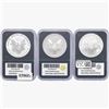 Image 2 : [3] 2006 Silver Eagle PCS  Genuine Set