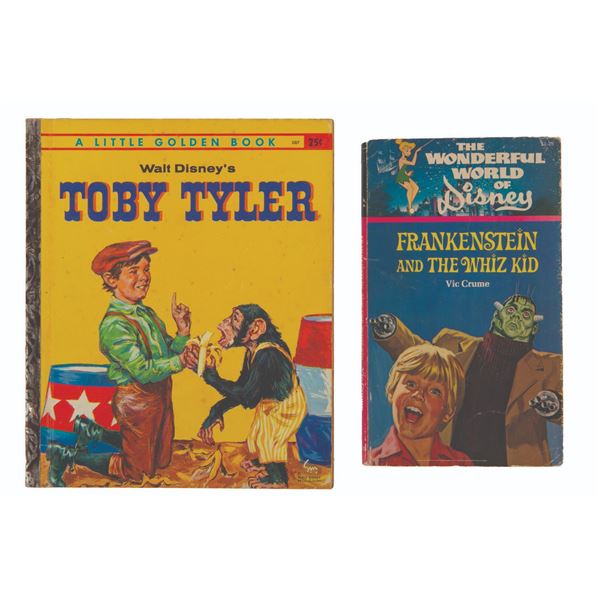 A Pair of Walt Disney Story Books.