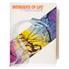 Image 1 : An EPCOT Wonders of Life Pavilion Press Kit.