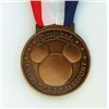 Image 2 : A Disneyland Olympic Spirit Passport Medallion.