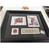 Image 1 : Bobby Hull  Framed Hockey Card