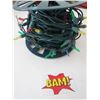 Image 1 : Outdoor Lights on a Spool