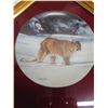 Image 3 : Framed glass, decorative plates - Lynx and Cougar, w/ authenticity