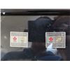 Image 2 : Nagano 1998 olympic pins in frame