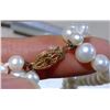 Image 3 : Natural Pearl Necklace