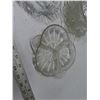 Image 3 : Lot of Glass Dishes