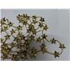 Image 3 : Gold Star Garland