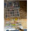 Image 2 : Fishing lures and hooks