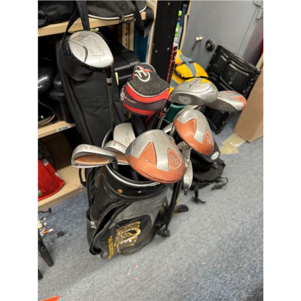Golf clubs in bag