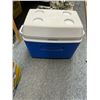 Image 1 : Rubbermaid cooler