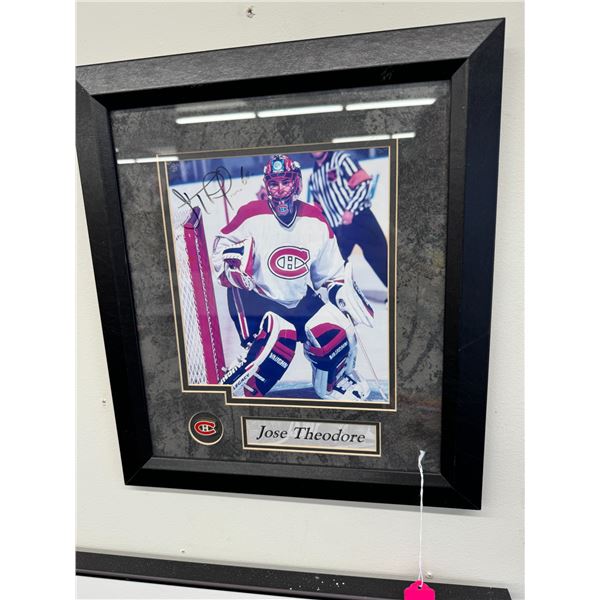 Signed Jose Theodore picture