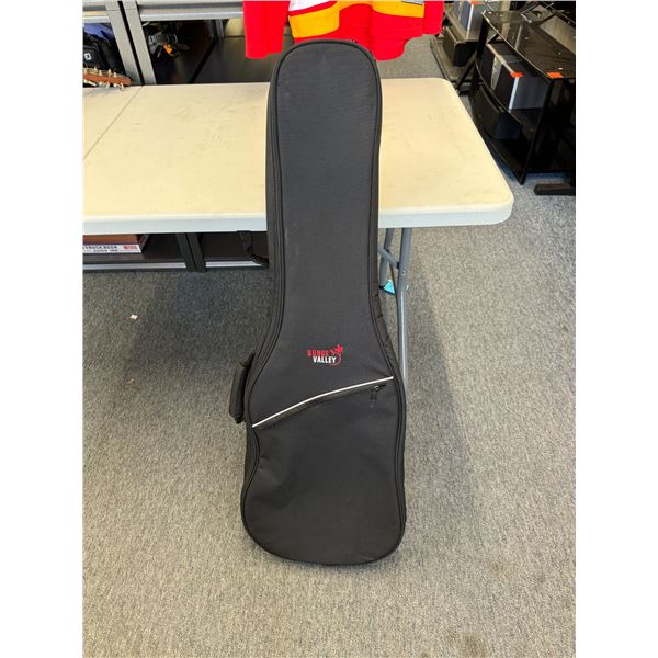 Guitar case