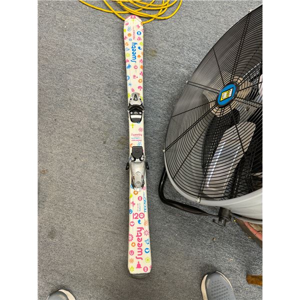 Skis 120