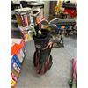 Image 1 : Golf clubs and bag