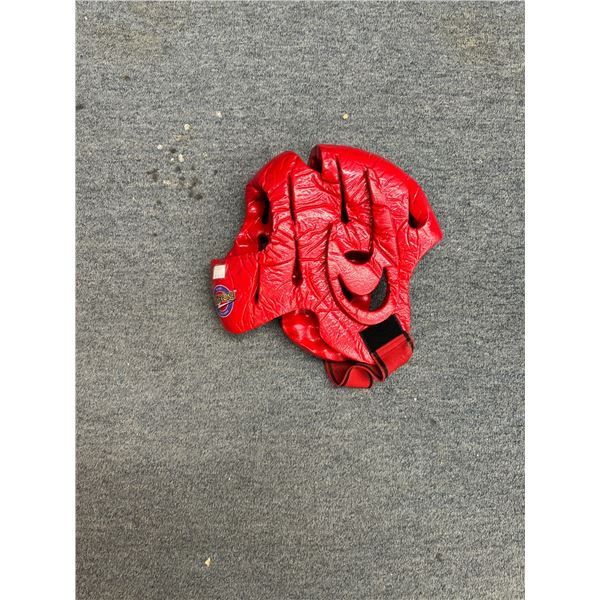 Martial arts head gear