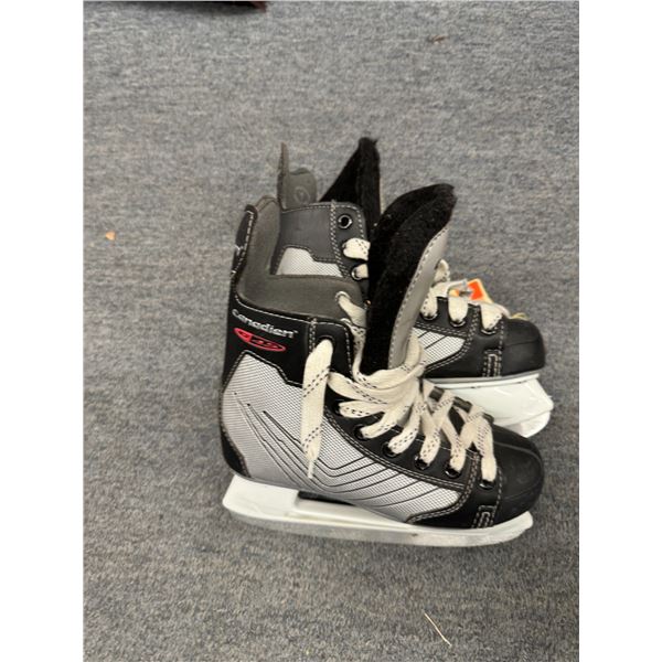 Hockey skates 1
