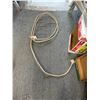 Image 1 : Lasso