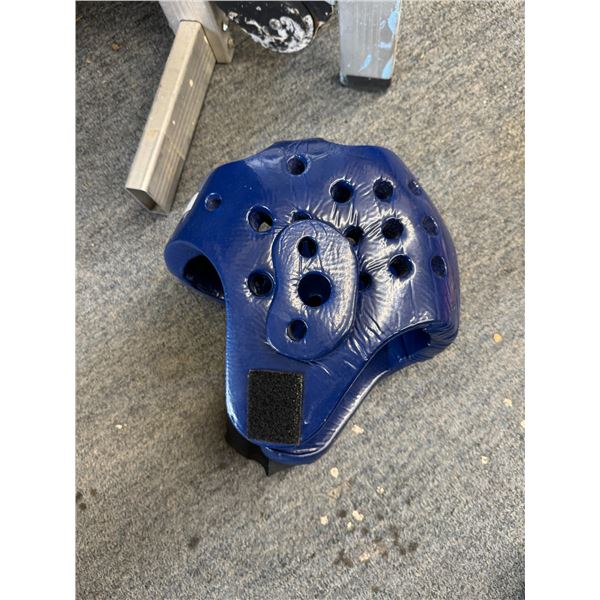 Martial art head gear