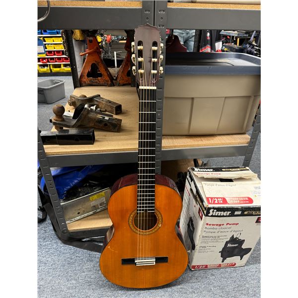 Ariana acoustic guitar