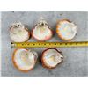 Image 3 : Group Of Polished Spiny Oyster Shells