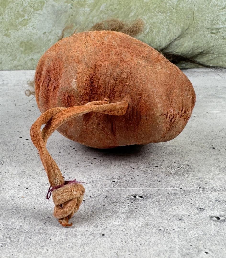 Plains Native American Indian Medicine Man Rattle