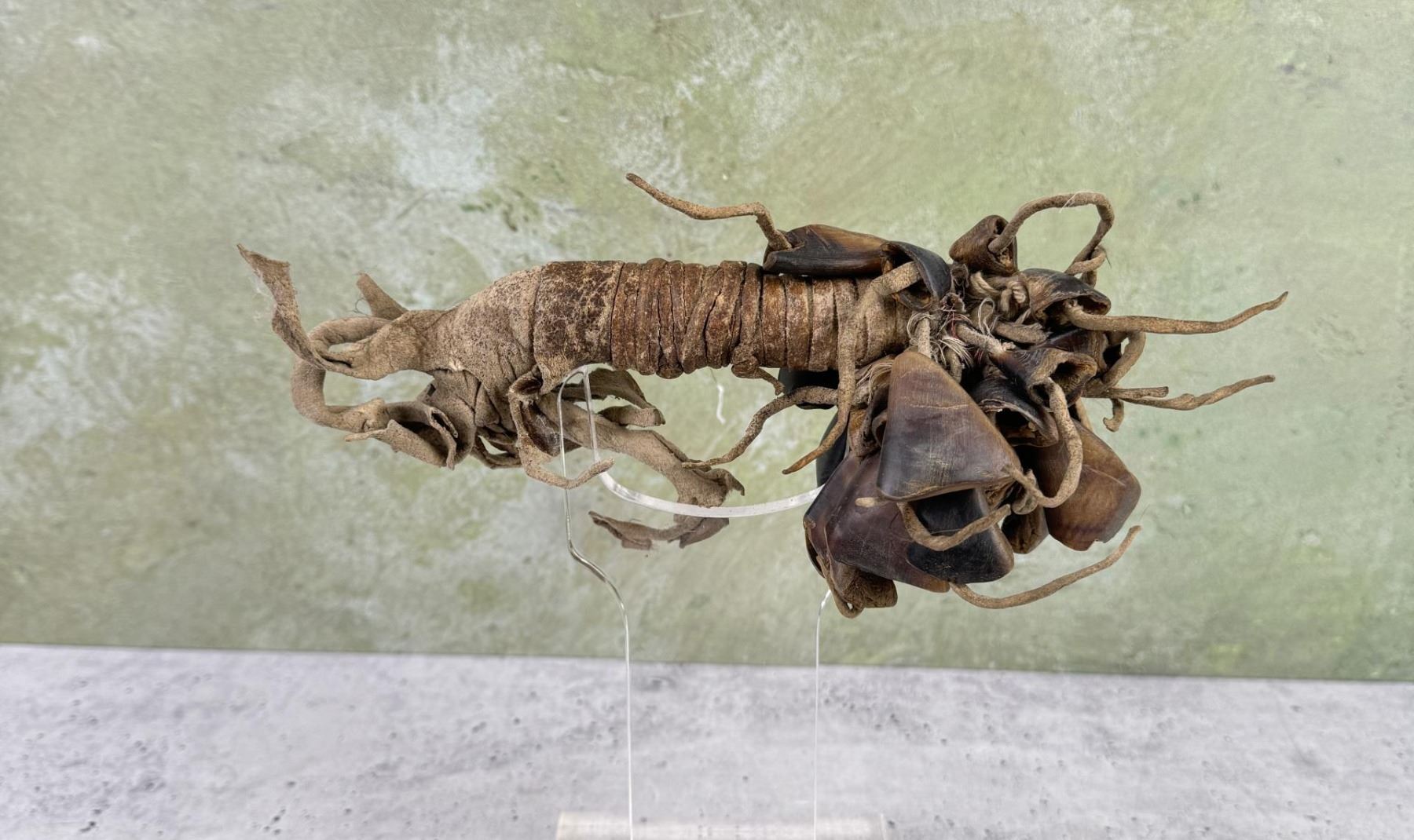 Navajo Native American Indian Medicine Man Rattle
