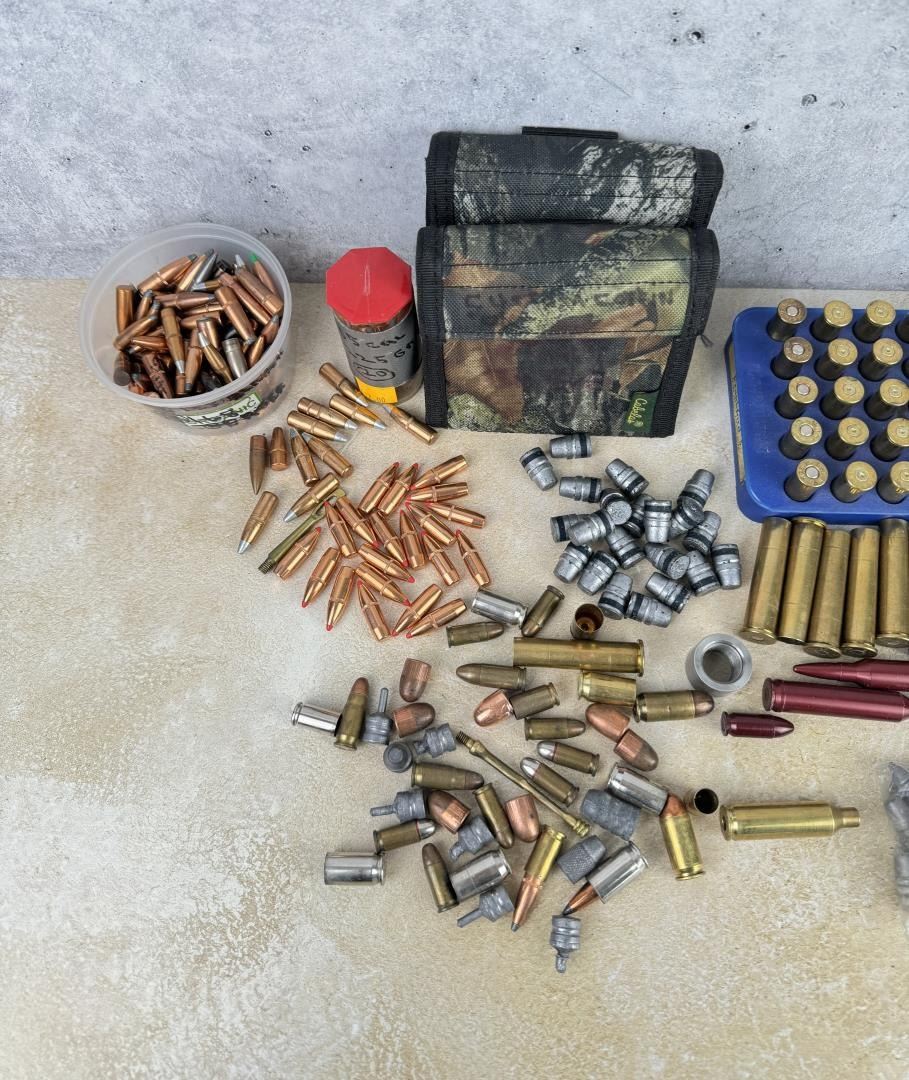 Collection of Bullets and Brass