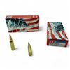 Image 1 : Hornady American Whitetail 300 WSM, 165 Grain Interlock Ammunition, 40 Rounds