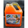 Image 1 : Turtle Wax Fresh & Foamy Wash & Wax (3.79L)