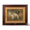 Image 1 : 1908 DuPont National Field Trial Championship English Setter "Lady's Count Gladstone" Framed Poster