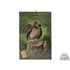 Image 1 : Arm & Hammer New York Church & Co Baking Soda Canvas Poster w/ Ruffled Grouse by G. Muss-Arnolt