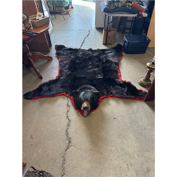 Amazing Animal decor