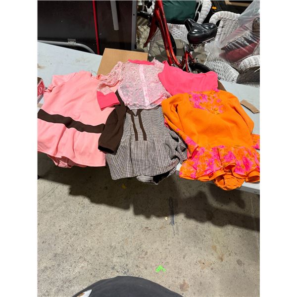 Vintage Skating dresses