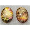 Image 1 : 18)  OVAL MULTI COLORED STUD EARRINGS.