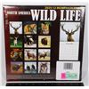 Image 1 : NEW 2025 12 MONTH CALENDAR -WILDLIFE