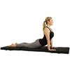 Image 1 : NEW SUNNY TRI-FOLD EXERCISE MAT