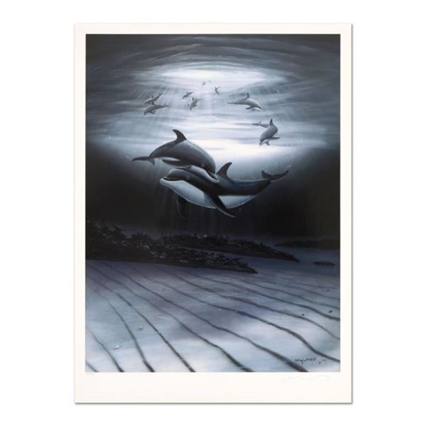 Wyland "Dolphin Affection" Limited Edition Lithograph On Paper