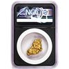 Image 2 : 11.97 Gram Caborca Sonora Mexico Gold Nugget NGC Vaultbox Unvaulted