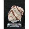 Image 1 : Polished Jasper Specimen On Display. Retails $180.00