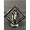 Image 1 : 2.9" Orthoceras Fossil Specimen. Retails $300.00