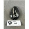Image 1 : 2.9" Orthoceras Fossil Specimen. Retails $300.00