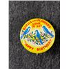 Image 3 : 3 Vintage Pins "1950s Good Teeth Club" etc
