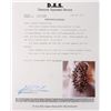 Image 4 : 0.95CTW DIAMOND 14K GOLD LADIES FASHION RING