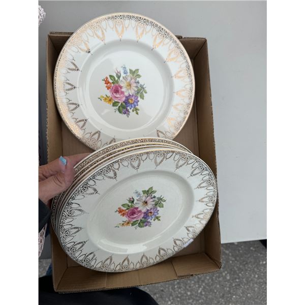 Staffordshire Swinnertons dishes