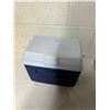 Image 2 : Rubbermaid cooler with ice packs